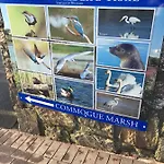 Summer In Free Car Parking Included 4*