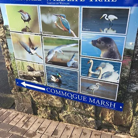 Summer In Free Car Parking Included 4*