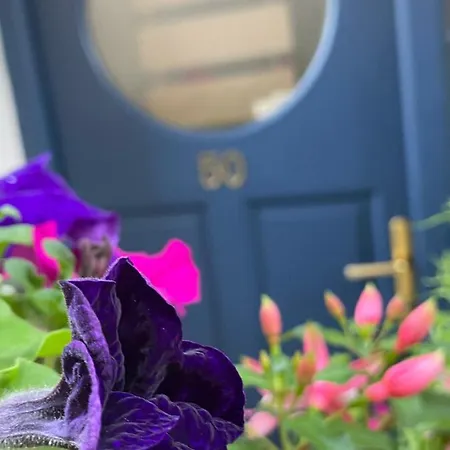 Summer In Free Car Parking Included