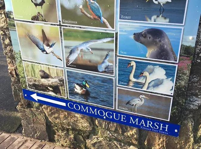 Summer In Free Car Parking Included 4*